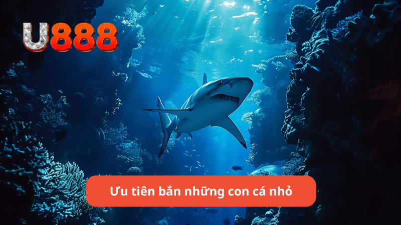 ưu tiên bắn những con cá nhỏ