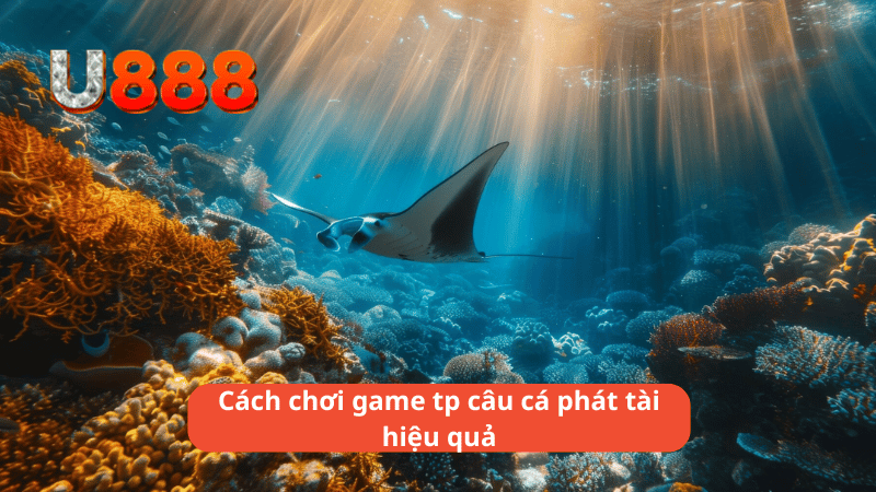 Cách chơi game tp câu cá phát tài hiệu quả