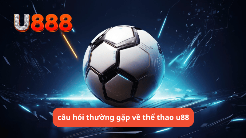 câu hỏi thường gặp về thể thao u888