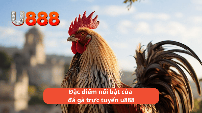 Đặc điểm nổi bật của đá gà trực tuyến u888