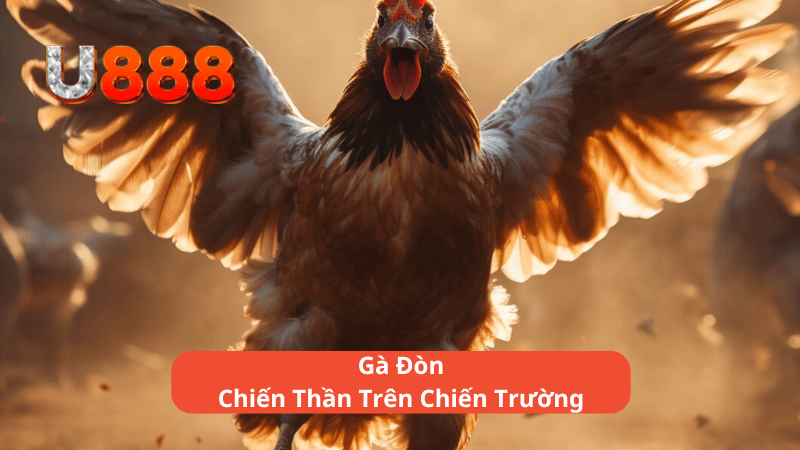 Gà Đòn - Chiến Thần Trên Chiến Trường