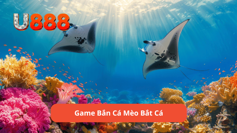 Game Bắn Cá Mèo Bắt Cá