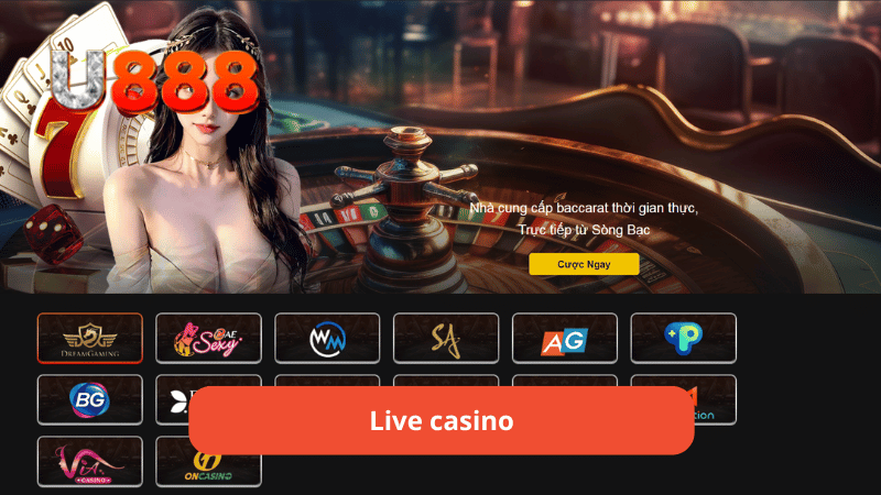 Live casino