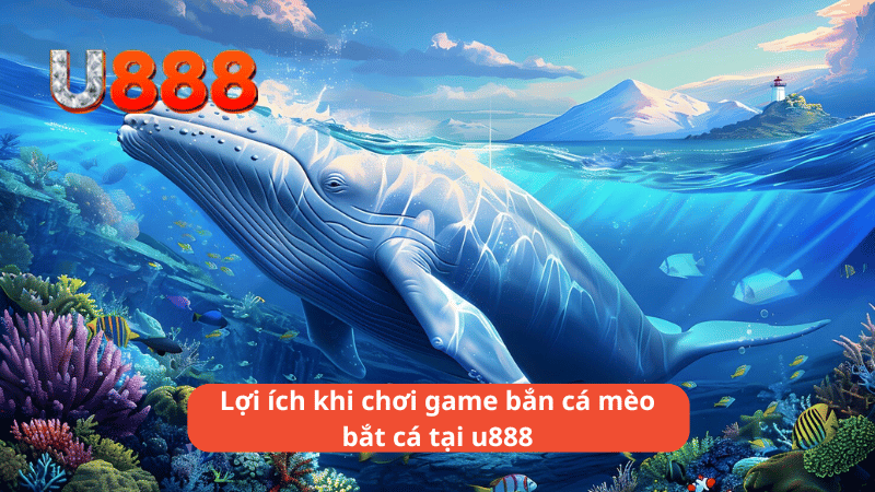 Lợi ích khi chơi game bắn cá mèo bắt cá