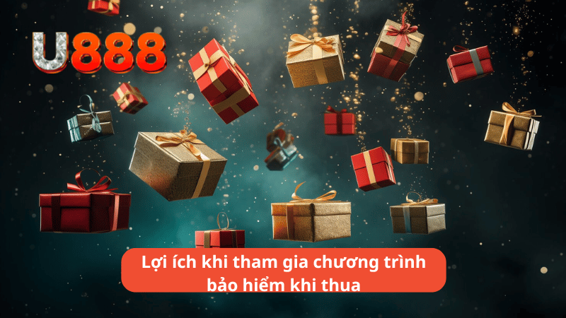 Lợi ích khi tham gia chương trình bảo hiểm khi thua