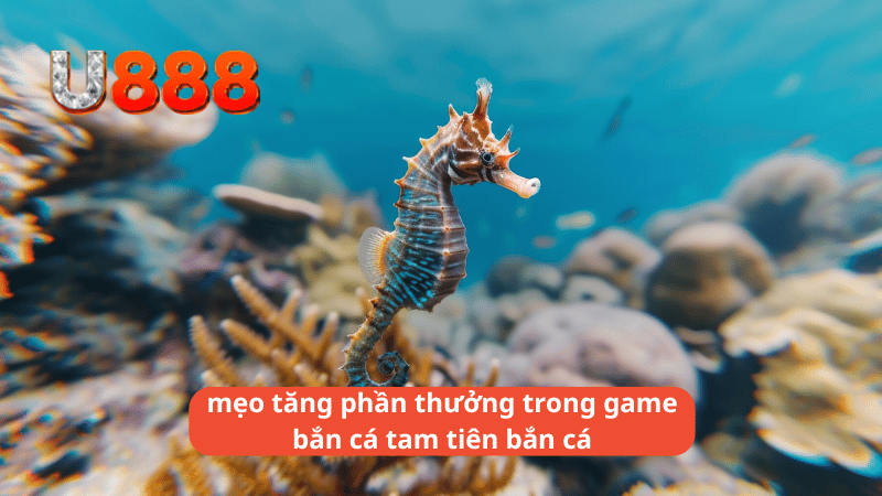 Những mẹo tăng phần thưởng trong game bắn cá tam tiên bắn cá