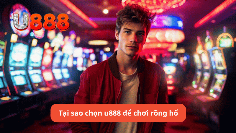 Tại sao chọn u888 để chơi rồng hổ